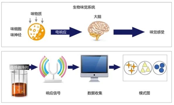 系統